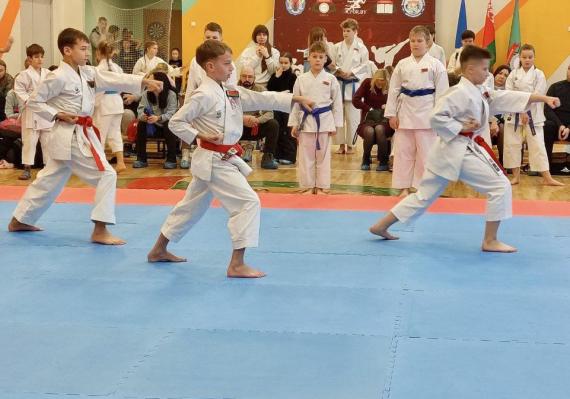   В Минске завершились открытые соревнования по каратэ в рамках VII Фестиваля боевых искусств "Минский рубеж" 2025